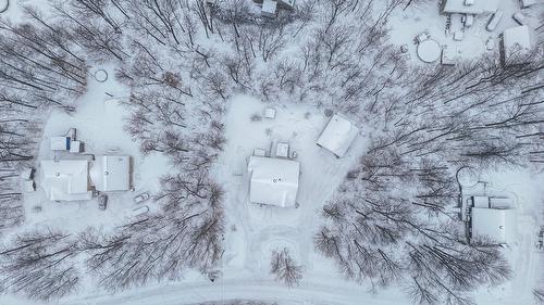 Vue d'ensemble - 125 Rue Pascal, Sainte-Sophie, QC - Outdoor With View