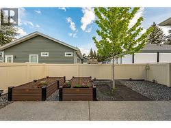 Summer Shot of Raised Beds - 