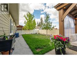 Summer Shot of Backyard - 