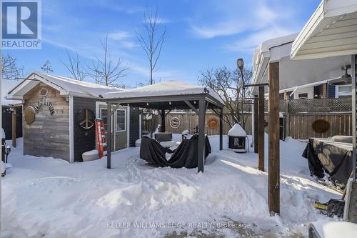 Backyard - 56 Tolton Avenue, Hamilton, ON - Outdoor