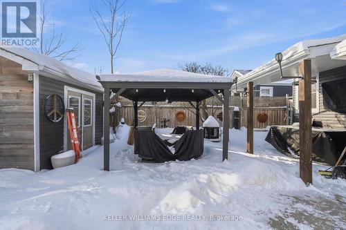 Backyard - 56 Tolton Avenue, Hamilton, ON - Outdoor