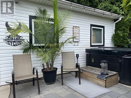 Backyard Summer - 56 Tolton Avenue, Hamilton, ON - Outdoor With Exterior