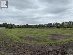 8646 MANDEVILLE AVENUE  Burnaby, BC V5J 3G6