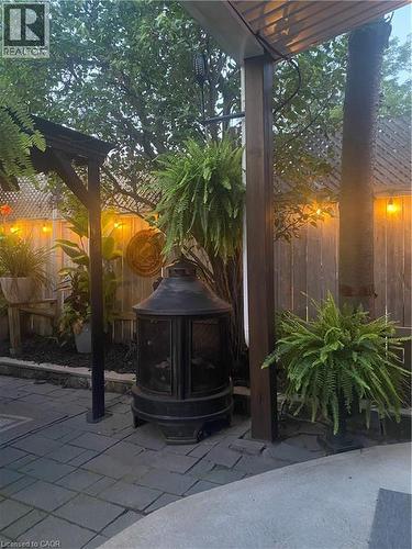 Backyard - Summer - 56 Tolton Avenue, Hamilton, ON - Outdoor