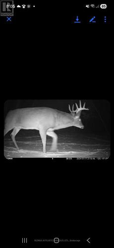 16119 Eamer Road, South Stormont, ON - 