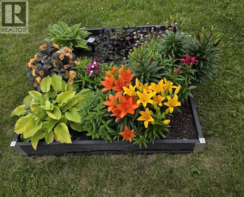 Front Perennial Bed - 9 Hidden Valley Crescent Nw, Calgary, AB - Outdoor