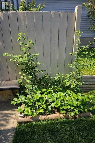 Berry Bushes - 9 Hidden Valley Crescent Nw, Calgary, AB - Outdoor