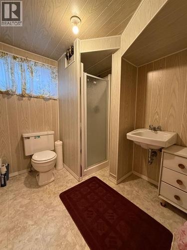Lower Level Bathroom - 5317 47Th Street, High Prairie, AB - Indoor Photo Showing Bathroom