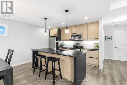 Modern Kitchen..Custom Pull-Outs - 84 South George Street, Belleville (Belleville Ward), ON - Indoor Photo Showing Kitchen With Double Sink