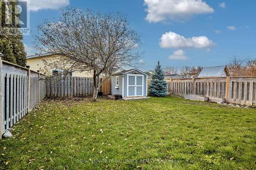 Large Private Yard with Cute Wooden Shed - 84 South George Street, Belleville (Belleville Ward), ON - Outdoor