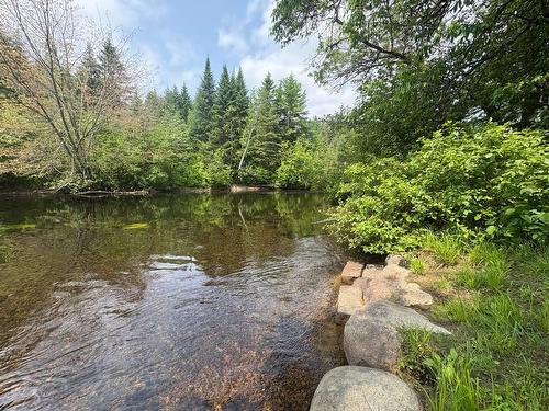 Bord de l'eau - 101 Ch. Alary, Amherst, QC - Outdoor With Body Of Water