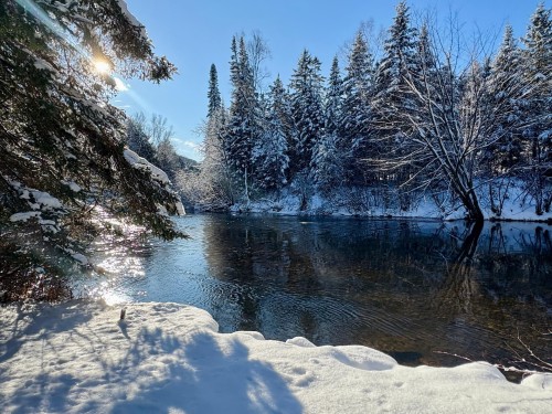 Bord de l'eau - 101 Ch. Alary, Amherst, QC - Outdoor With View