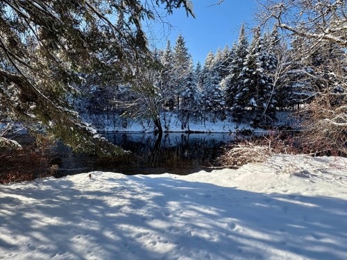 Bord de l'eau - 101 Ch. Alary, Amherst, QC - Outdoor With View