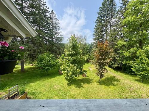 Vue - 101 Ch. Alary, Amherst, QC - Outdoor