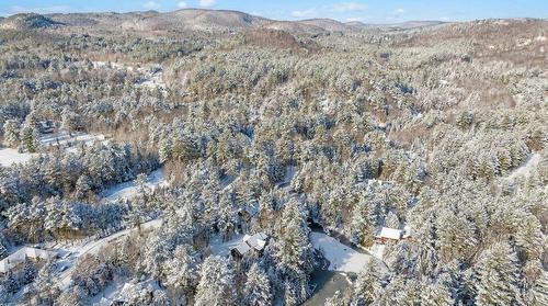 Photo aérienne - 1770  - 1772 Rue Du Manège, Sainte-Adèle, QC - Outdoor With View