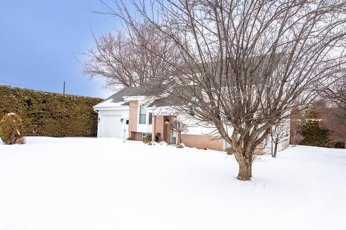 Extérieur - 223 Rue Laurin, Napierville, QC - Outdoor