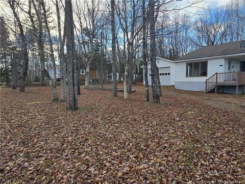 710 Nepisiguit Falls, Nepisiguit Falls, NB 