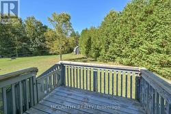 BAck deck over looks back yard w shed - 