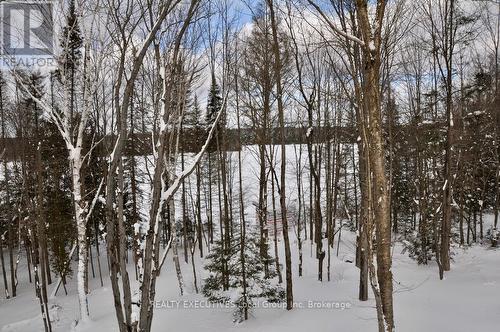 1070 Four Mile Lake Road, North Bay (Airport), ON - Outdoor With View