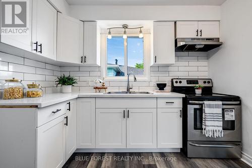 69 Bridlepath Road, Chatham-Kent (Wallaceburg), ON - Indoor Photo Showing Kitchen With Double Sink With Upgraded Kitchen