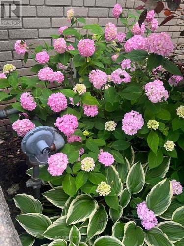 1224 Grange Road, Oakville, ON - Outdoor