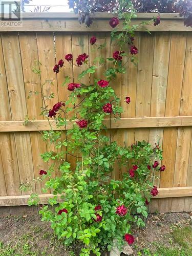 1224 Grange Road, Oakville, ON - Outdoor