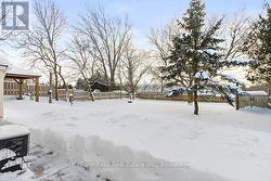 Spacious back yard - 