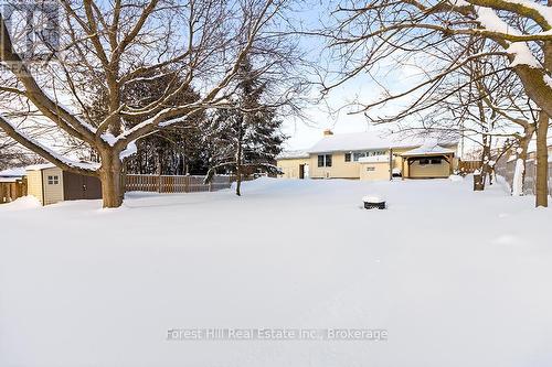 Lots of room for kids and pets - 58 Edith Avenue, Grey Highlands, ON - Other