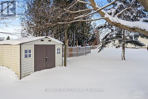 10x10 garden shed - 58 Edith Avenue, Grey Highlands, ON - 
