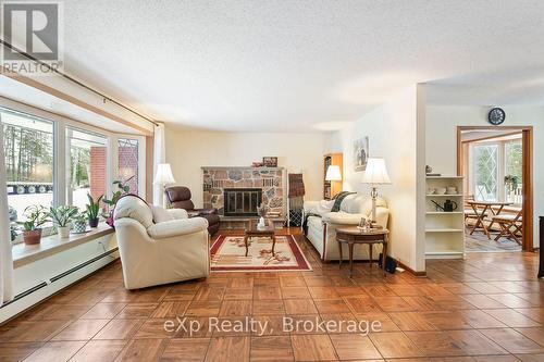 557409 4Th Concession S, Meaford, ON - Indoor Photo Showing Living Room With Fireplace