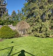 Picture from summer 2025 - 