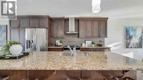 389 Cranberry Circle Se, Calgary, AB - Indoor Photo Showing Kitchen With Double Sink With Upgraded Kitchen