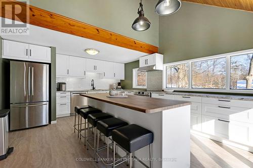 Brand new kitchen, all renovated 2025 - 100 Nagle Way, Tay Valley, ON - Indoor Photo Showing Kitchen With Upgraded Kitchen