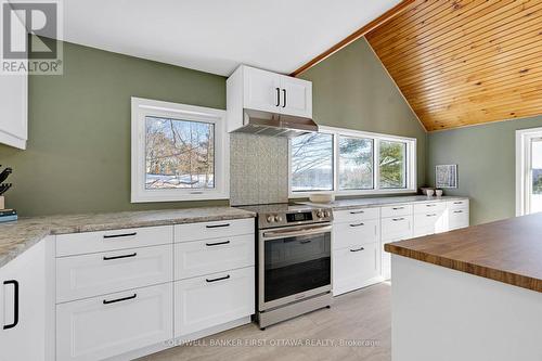 Sleek contemporary lines and decor - 100 Nagle Way, Tay Valley, ON - Indoor Photo Showing Kitchen With Upgraded Kitchen