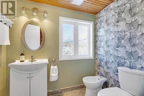 Second floor bathroom has shower - 100 Nagle Way, Tay Valley, ON - Indoor Photo Showing Bathroom