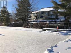 Winter of fun, skating on the lake - 