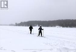 ...or, enjoy cross country skiing on the lake - 