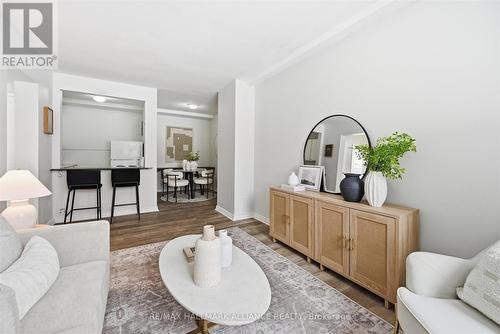 101 - 37 Mericourt Road, Hamilton, ON - Indoor Photo Showing Living Room