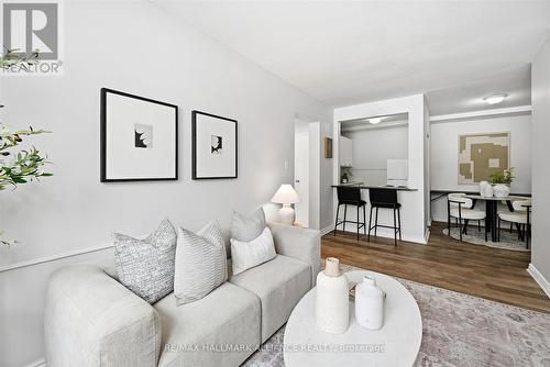 101 - 37 Mericourt Road, Hamilton, ON - Indoor Photo Showing Living Room
