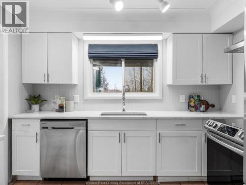3438 Manning, Tecumseh, ON - Indoor Photo Showing Kitchen