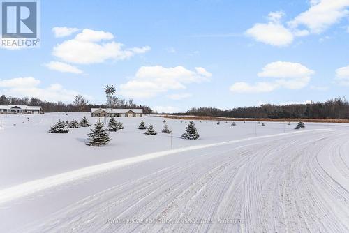 346 Foresters Falls Road, Whitewater Region, ON - Outdoor With View