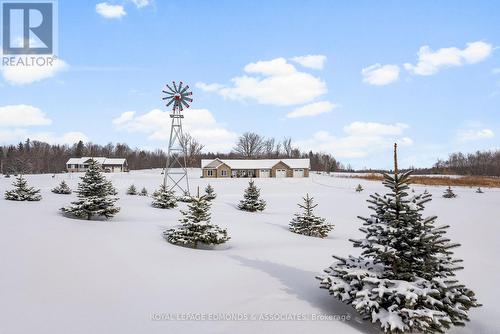 346 Foresters Falls Road, Whitewater Region, ON - Outdoor With View