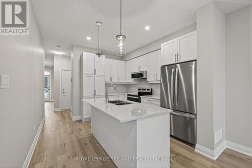 782 Banyan Lane, London North (North E), ON - Indoor Photo Showing Kitchen With Upgraded Kitchen