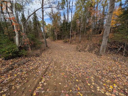 0 Forest Lake Road, Joly, ON 