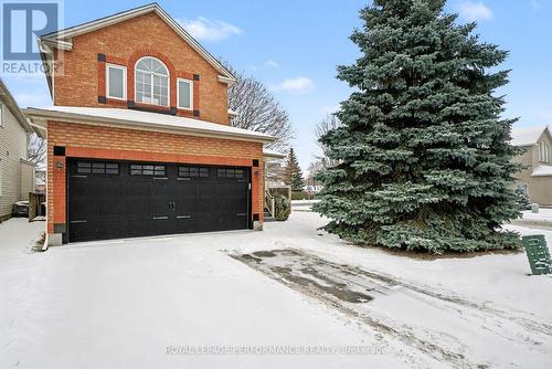 1386 Chicory Place, Ottawa, ON - Outdoor
