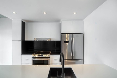 Kitchen - 207-4240 Rue Augustin-Frigon, Montréal (Rosemont/La Petite-Patrie), QC - Indoor Photo Showing Kitchen With Double Sink