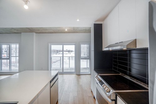 Kitchen - 207-4240 Rue Augustin-Frigon, Montréal (Rosemont/La Petite-Patrie), QC - Indoor Photo Showing Kitchen