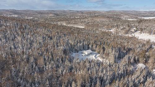 Aerial photo - 8500 Ch. Ladouceur, Sainte-Agathe-Des-Monts, QC - Outdoor With View