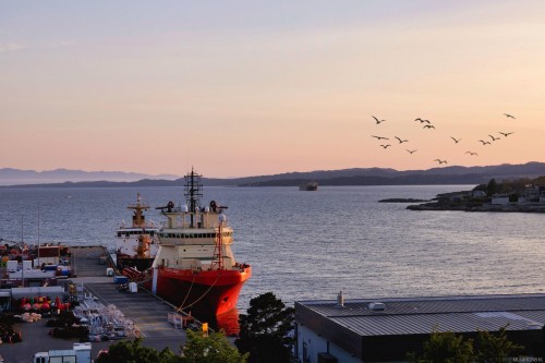 3-555 Niagara St, Victoria, BC 