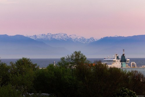 3-555 Niagara St, Victoria, BC 